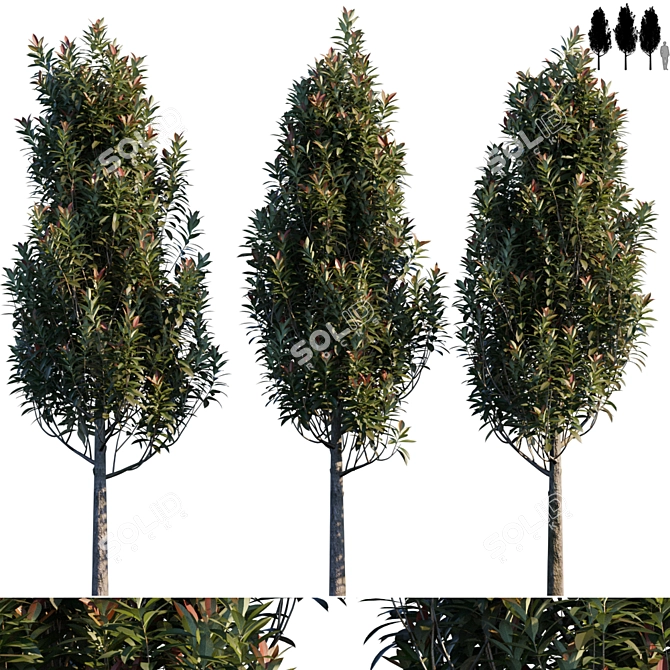 Versatile Garden Tree: Perfect for Fences & Privacy 3D model image 1