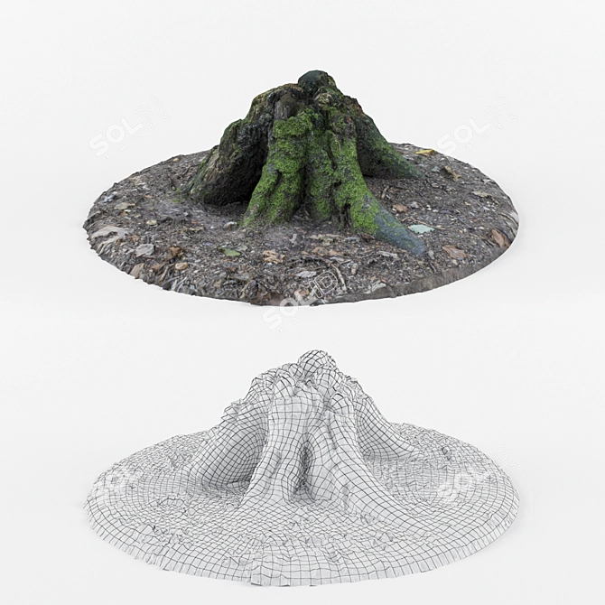 Nature's Haven Forest Stump 3D model image 1