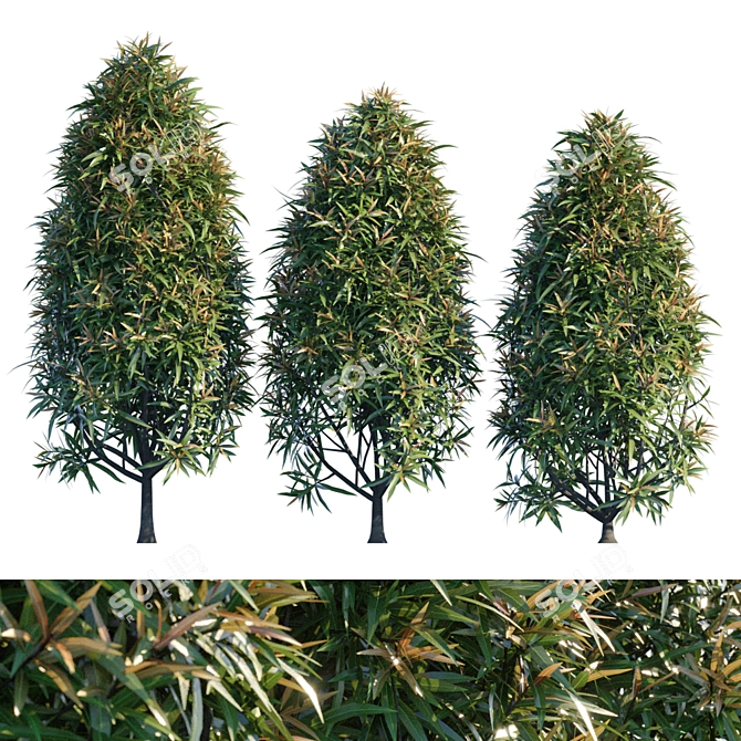 Natural Garden Tree: Versatile and Detailed 3D model image 1