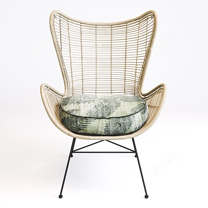 Natural Rattan Garden Egg Chair 3D model image 2