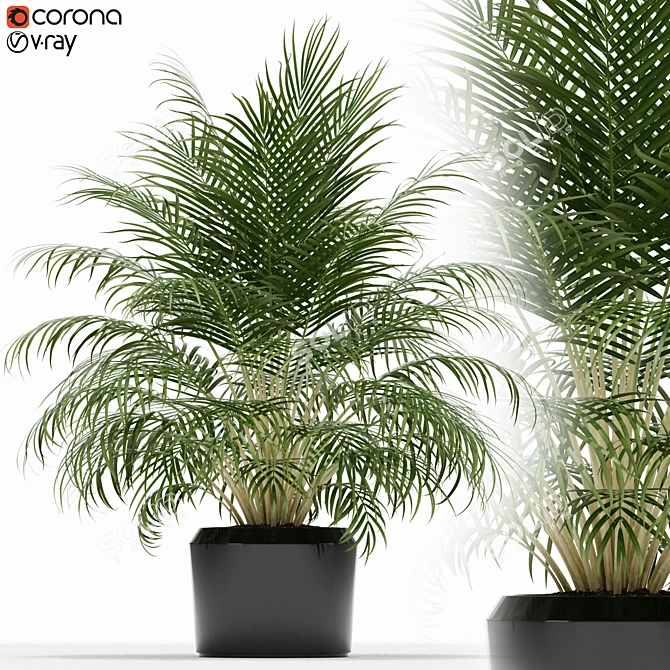 Green Oasis: 149 Varieties 3D model image 1