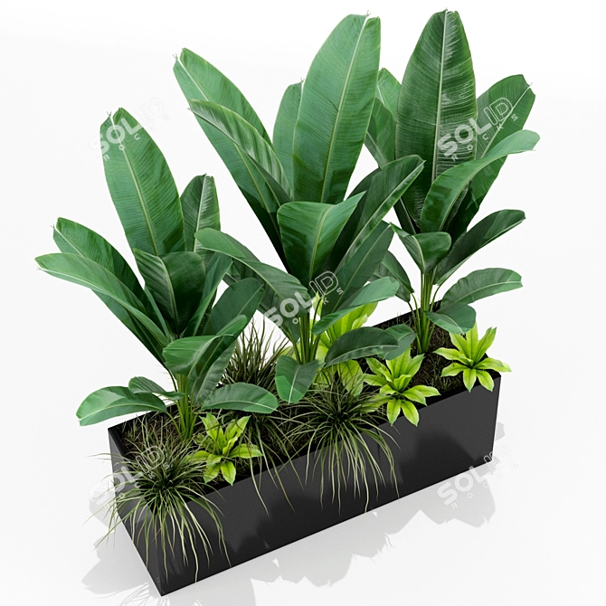 Nature's Bounty: 150 Diverse Plants 3D model image 2