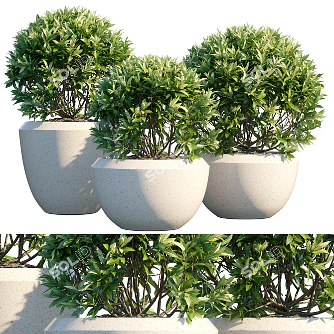 Leafy Oasis: Potted Plant #8 3D model image 1
