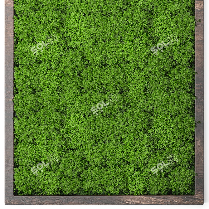 Evergreen Moss Wall Decor 3D model image 2