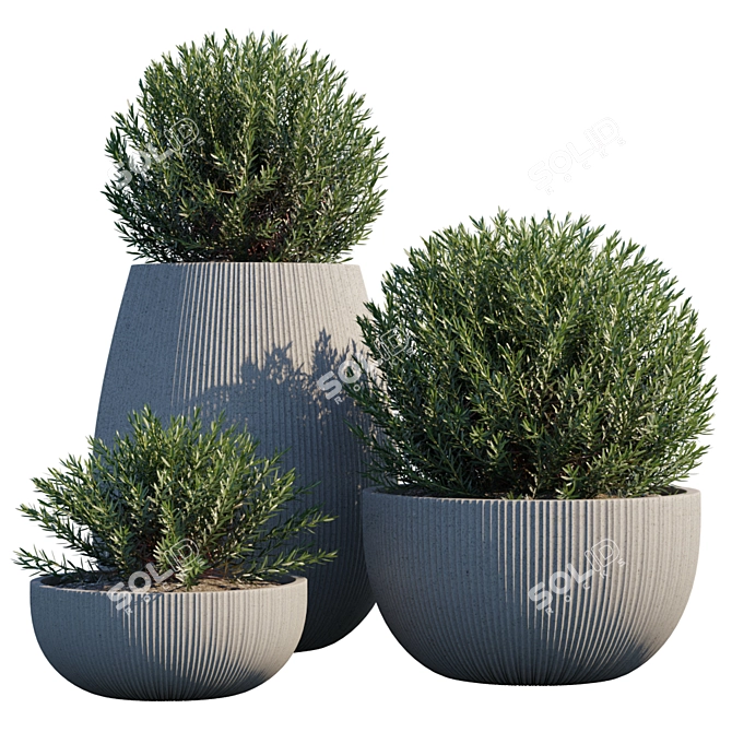 Botanical Bliss: Potted Plant #5 3D model image 1