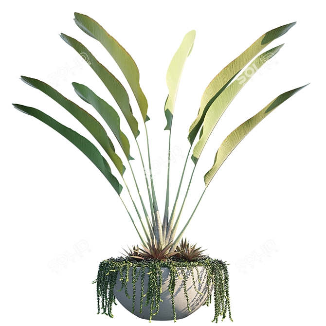 Tropical Inspiron: Plant in Pots 3D model image 1