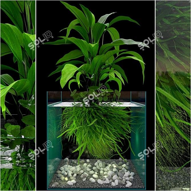 Ocean Green Seaweed Aquarium 3D model image 1