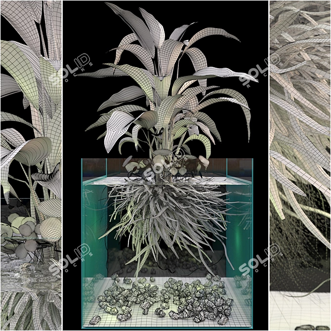Ocean Green Seaweed Aquarium 3D model image 2