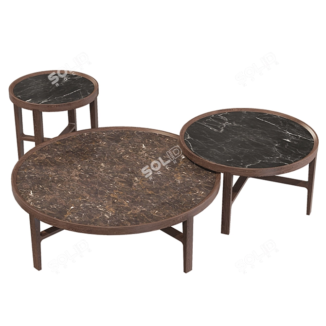 Alivar Cyclos Coffee Table 3D model image 2