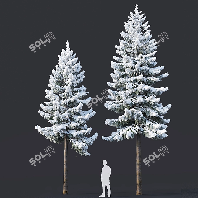 Snowy Spruce #6 - 8,10m Height 3D model image 2