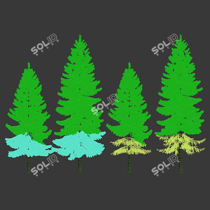 Snowy Spruce #6 - 8,10m Height 3D model image 4