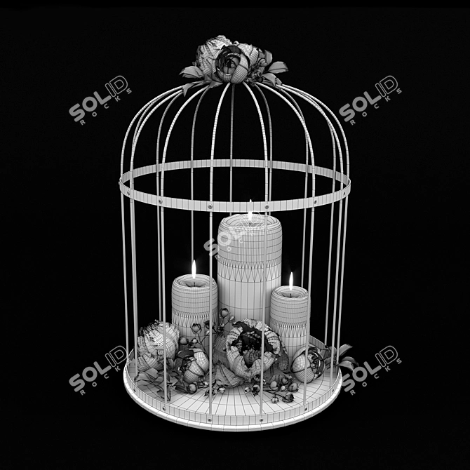 Elegant Decorative Cage 3D model image 3