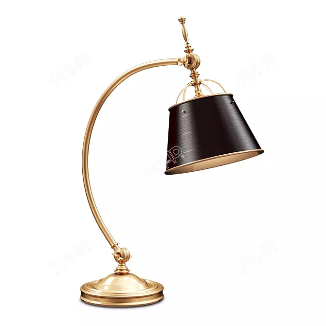 Griffiths & Griffiths 77825 Brass Desk Lamp 3D model image 1