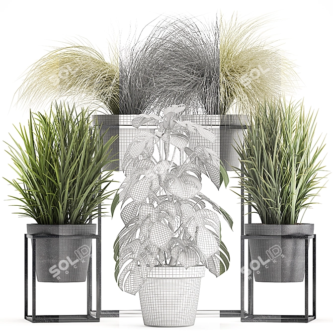 Exotic Plant Collection: Monstera, Grass, Tussock 3D model image 3