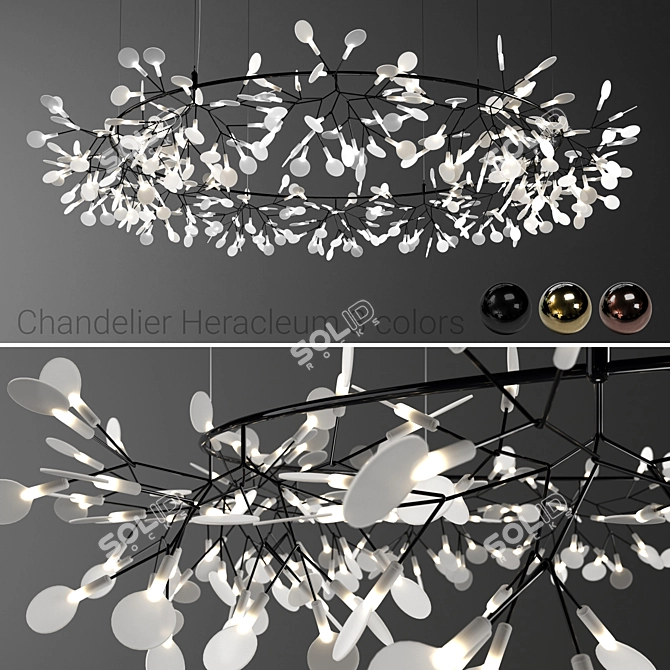 Moooi Heracleum Big O Pendant 3D model image 1