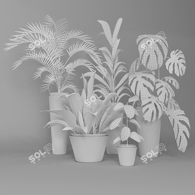 Exotic Houseplant Collection 3D model image 3