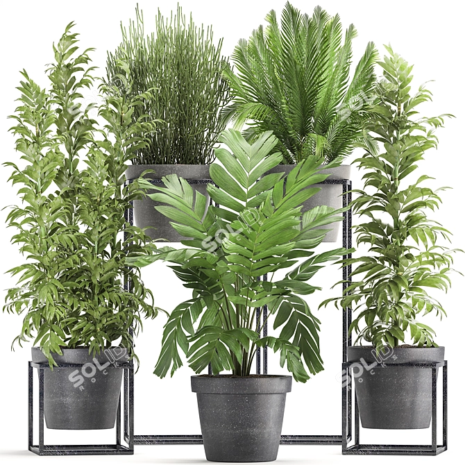 Exotic Indoor Plant Collection 3D model image 1