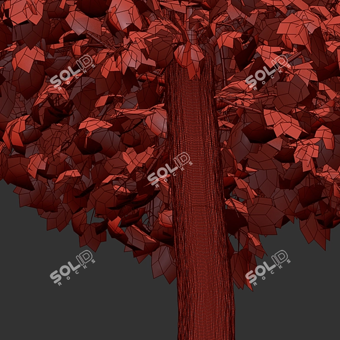 Vibrant Scarlet Scanlon Maple Tree 3D model image 2