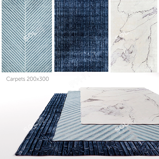 Elegant Schleypen Carpets for Luxurious Interiors 3D model image 1