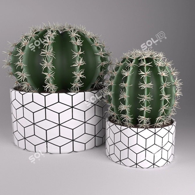 Title: Modern Potted Cactus 3D model image 1
