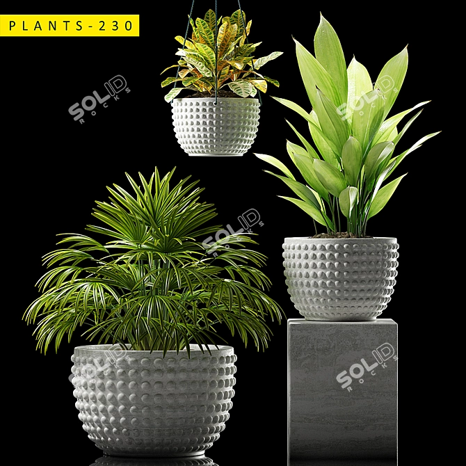 Maximize Your Greenery: 230 Plant Varieties 3D model image 1