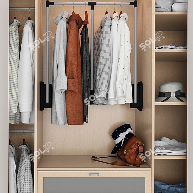 Luxury Wall Closet - Modern Design 3D model image 2