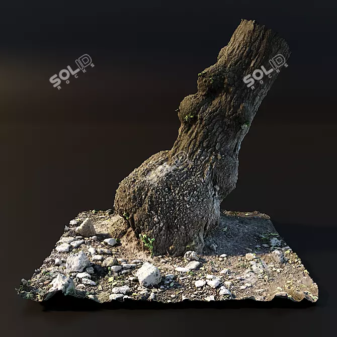 Realistic Tree Trunk Model 3D model image 1