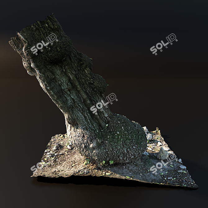 Realistic Tree Trunk Model 3D model image 2