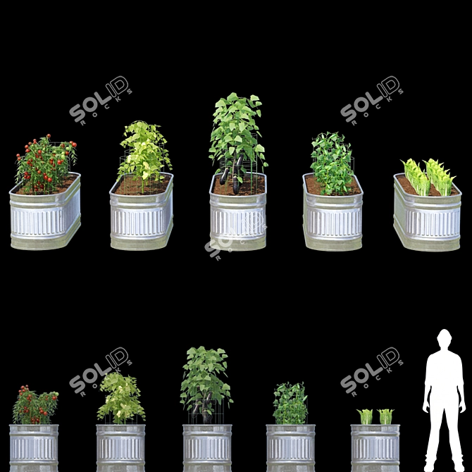 Title: Versatile Vegetable Garden Set 3D model image 3