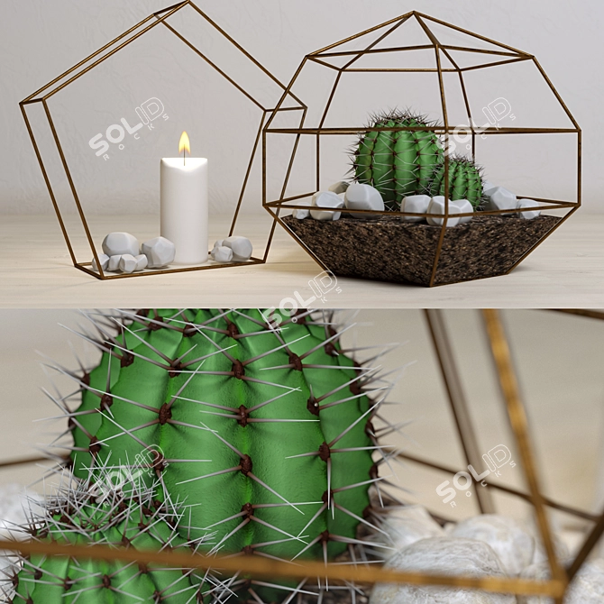 Mini Glass Terrariums with Cacti & Candle 3D model image 3