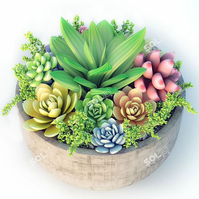 Sleek Succulent Plant Pot 3D model image 1