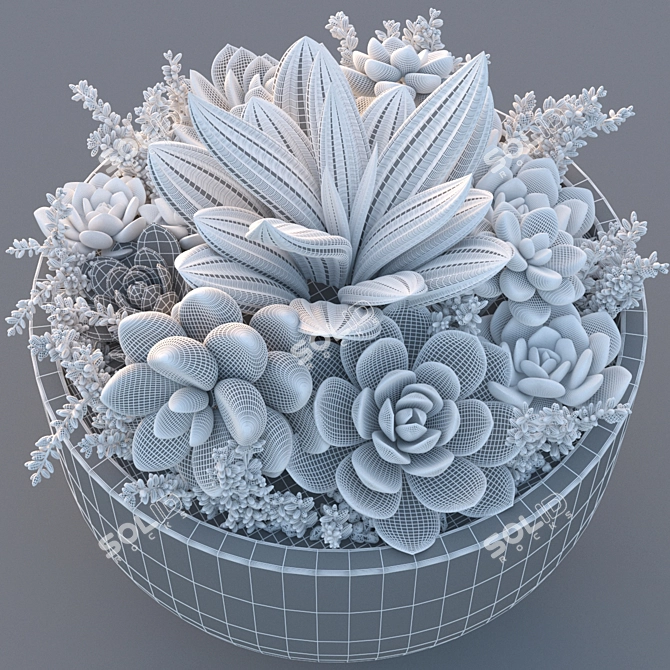 Sleek Succulent Plant Pot 3D model image 3