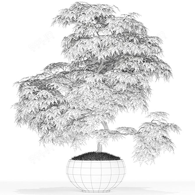 Botanical Bliss: 164 Green Marvels 3D model image 2