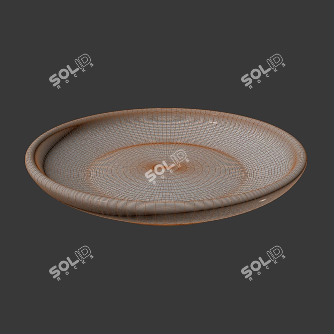 Gray Plant Pot Tray 3D model image 2