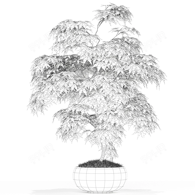 Premium Plants Collection 165 3D model image 2