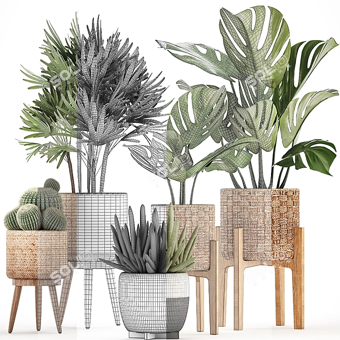Exotic Indoor Plant Collection 3D model image 3