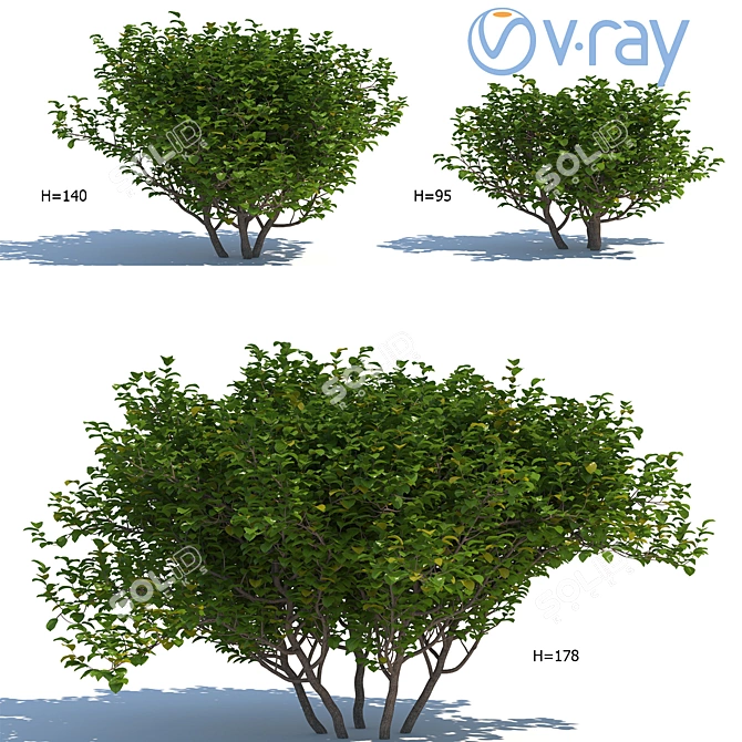 Versatile Exterior Bushes: 3 Models 3D model image 1