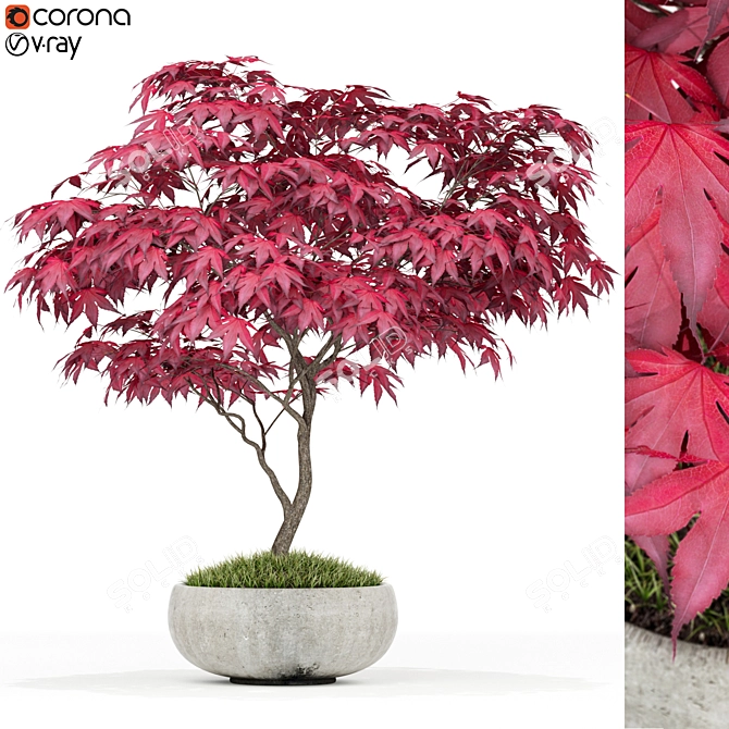 Botanical Treasure Collection 3D model image 1