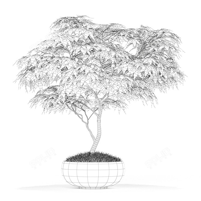 Botanical Treasure Collection 3D model image 3