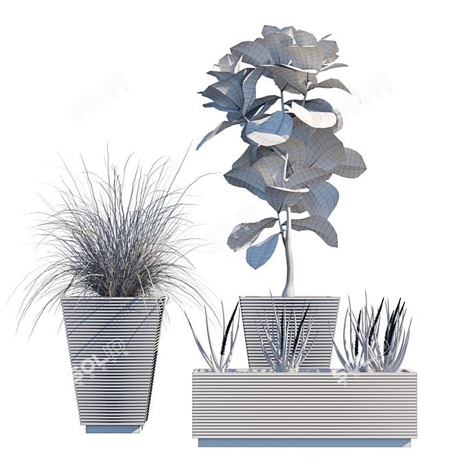 Modern Hallway Plant in Pot 3D model image 2