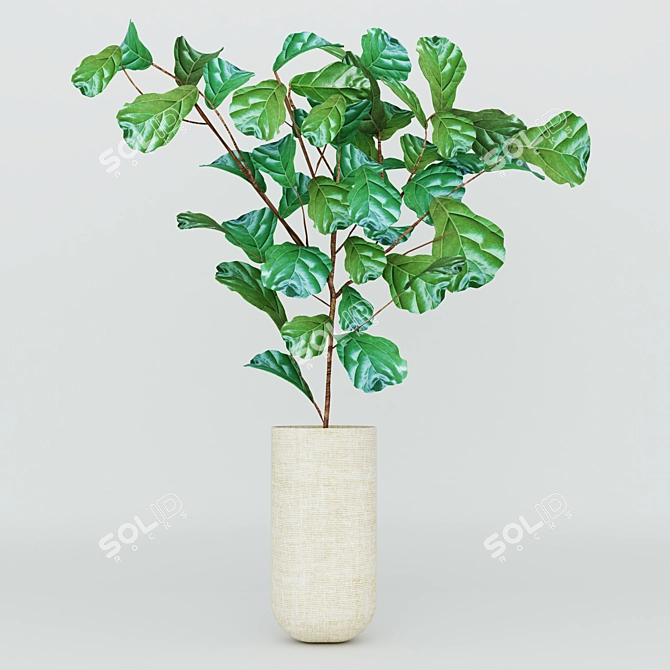 Exotic Leafy Beauties 3D model image 1