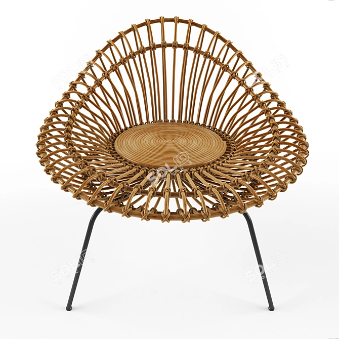  Franco Albini Rattan Lounge Chair 3D model image 2