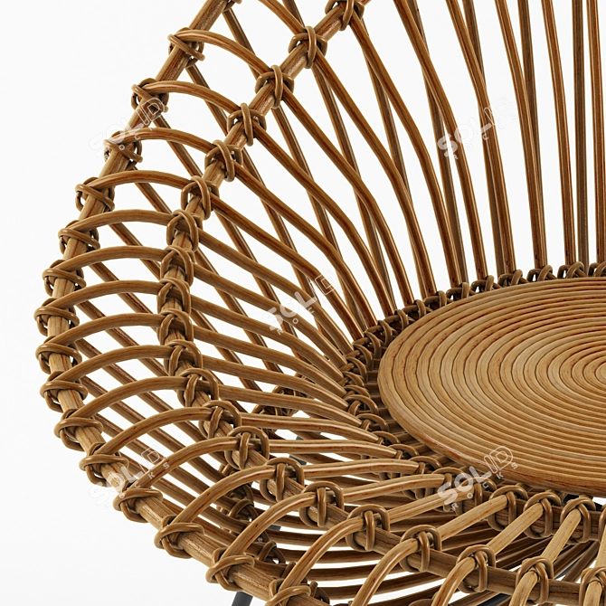  Franco Albini Rattan Lounge Chair 3D model image 3