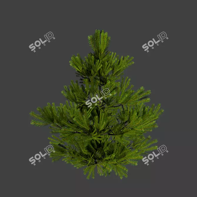  Petite Pine Mantel Shelf 3D model image 1