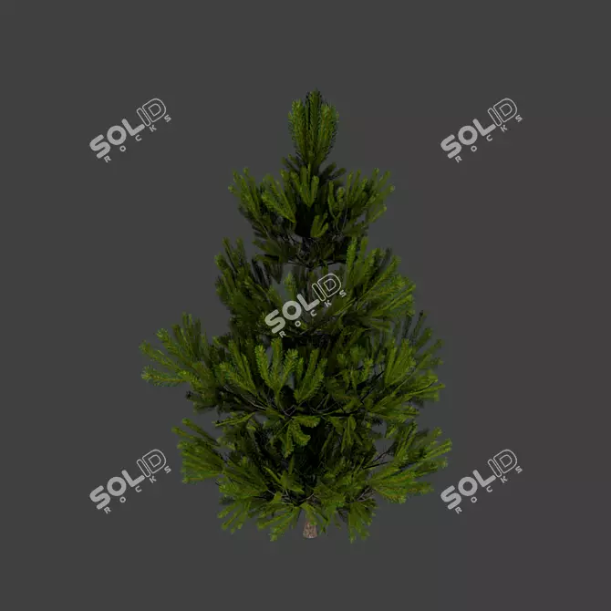  Petite Pine Mantel Shelf 3D model image 2