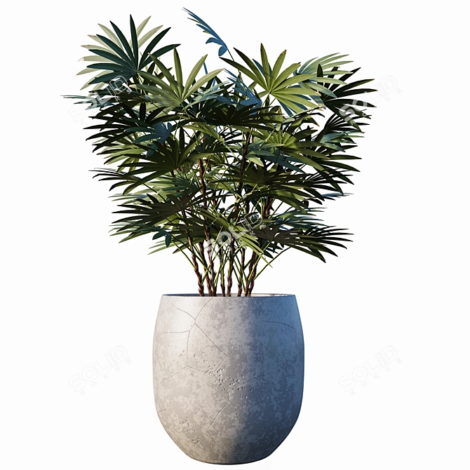 Lush Greenery: 3-Piece Plant Set 3D model image 2