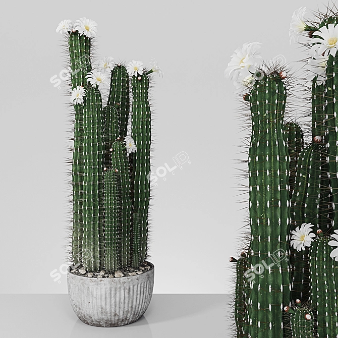 Greenery Heaven: Realistic Plant 4 3D model image 1