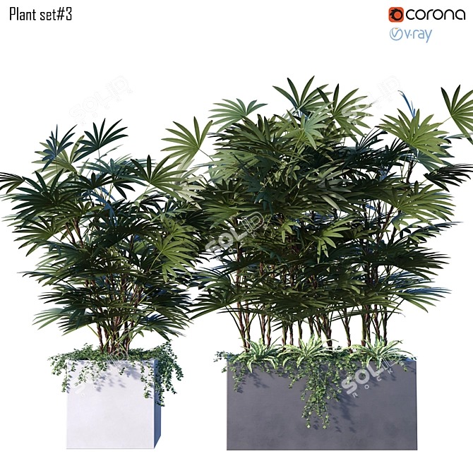 Stunning Plant Set for Vray + Corona 3D model image 1