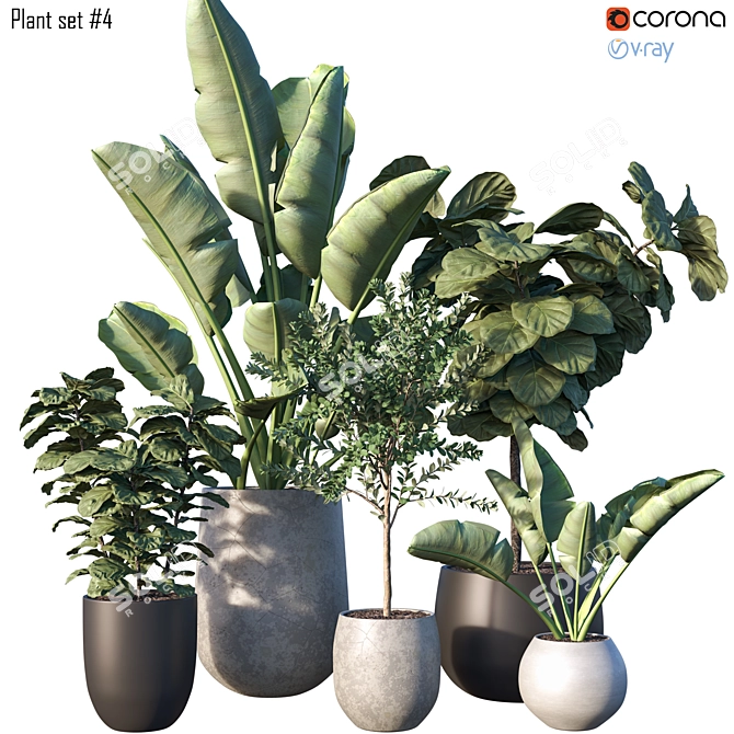  Lush Greenery Plant Set 3D model image 1