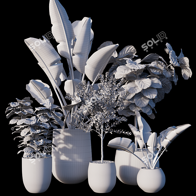  Lush Greenery Plant Set 3D model image 2